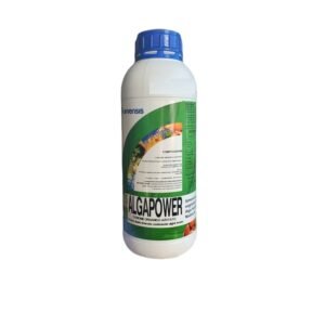 ALGAPOWER