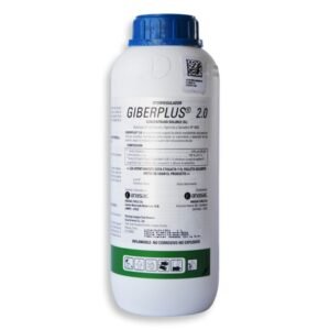 Giberplus