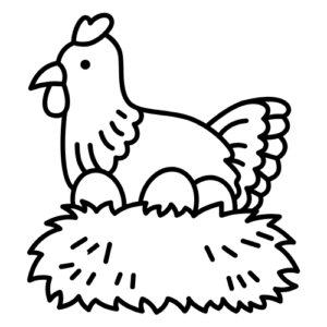 Gallina Ponedora Formato de 20 KG