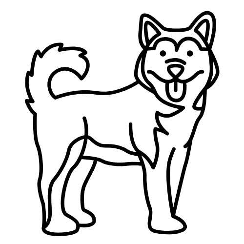 Alimento Happy Dogs Perros Adulto 20 KG
